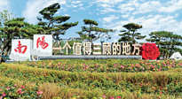 【行業(yè)資訊】南陽(yáng)一個(gè)值得三顧的地方！“丹江水”“仙草艾”成為 “南陽(yáng)禮物”新爆款！