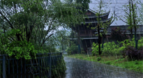 【艾灸知識】多雨的日子里，艾灸會不會加重濕氣呢？