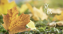 【節(jié)氣養(yǎng)生】甲辰立秋，“2做”、“2不做”，護好我們身體的正氣，預防外邪的侵襲！