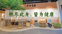 【艾草知識】小小艾草，渾身是寶，一生燃盡此身，皆為健康！